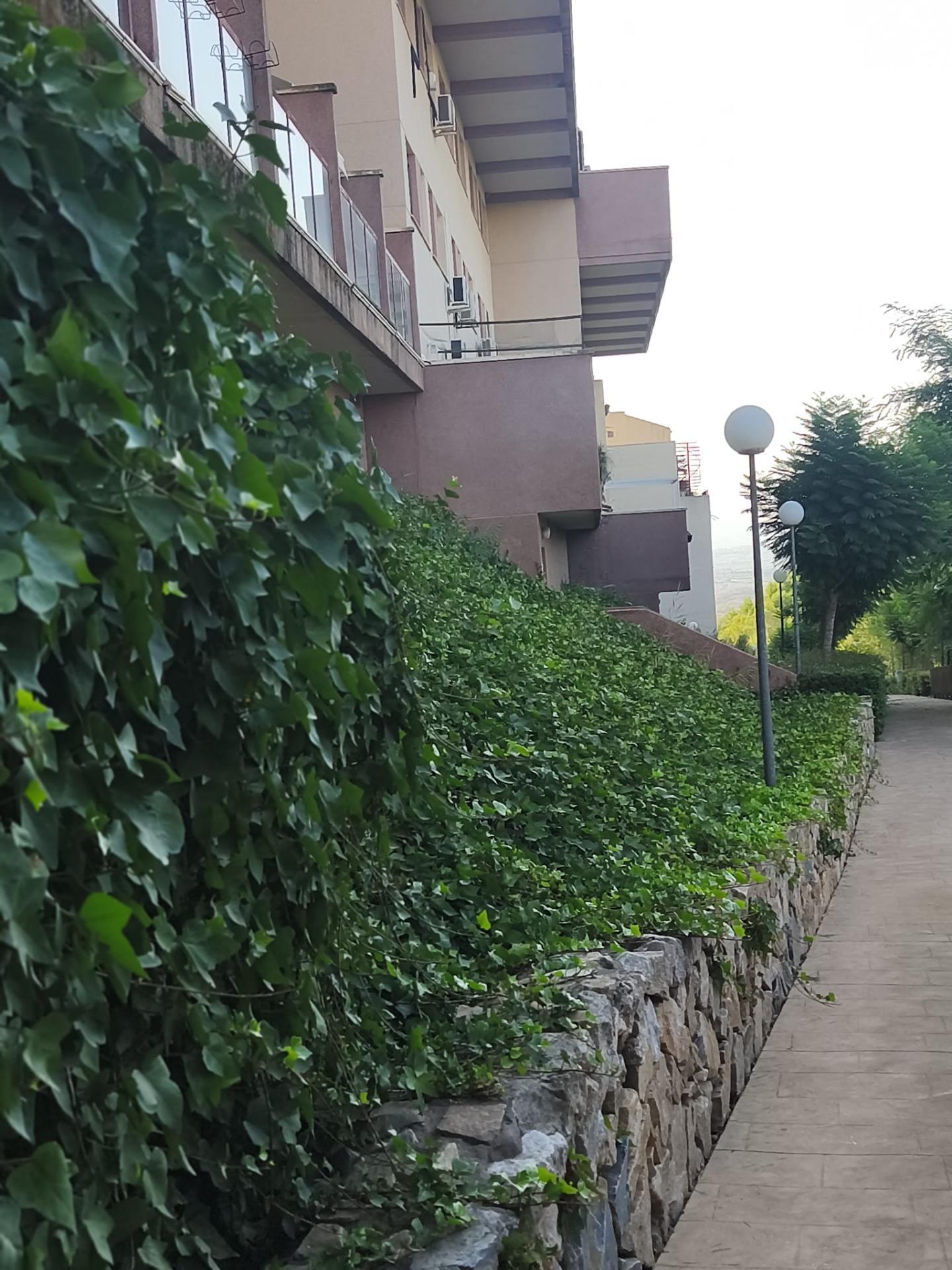 Pisos-Venta-Molina de Segura-2423804-Foto-13