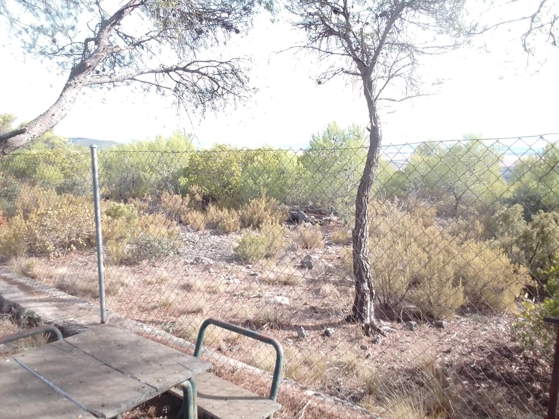 Casas o chalets-Venta-Albalate de Zorita-2423837-Foto-7