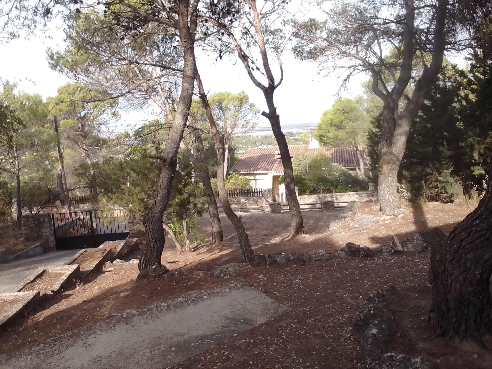 Casas o chalets-Venta-Albalate de Zorita-2423837-Foto-15