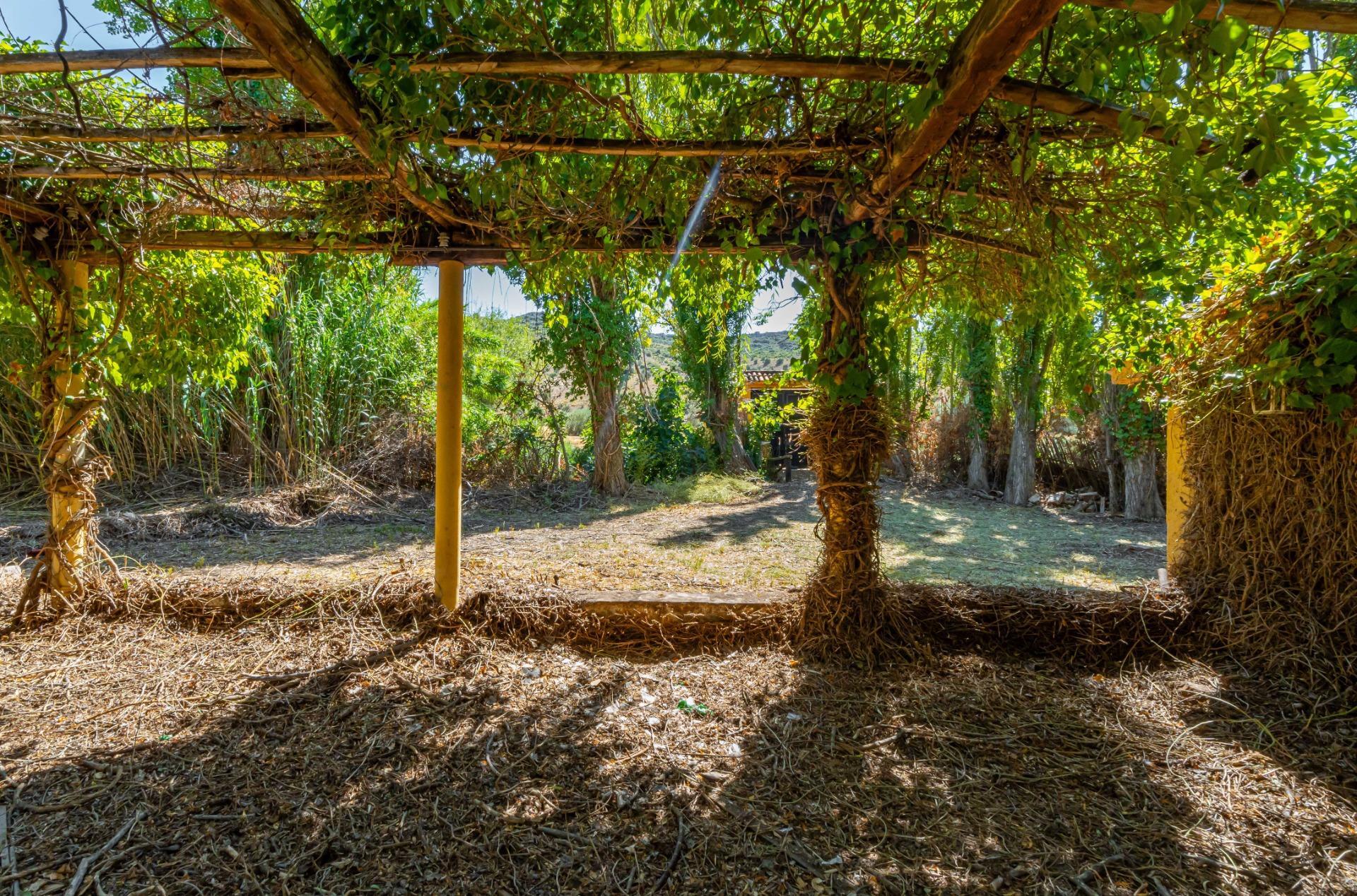 Pisos-Venta-CarabaÃ±a-2423816-Foto-22