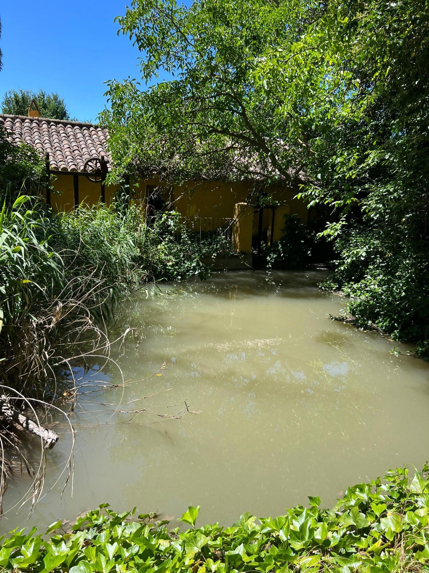 Pisos-Venta-CarabaÃ±a-2423816-Foto-25