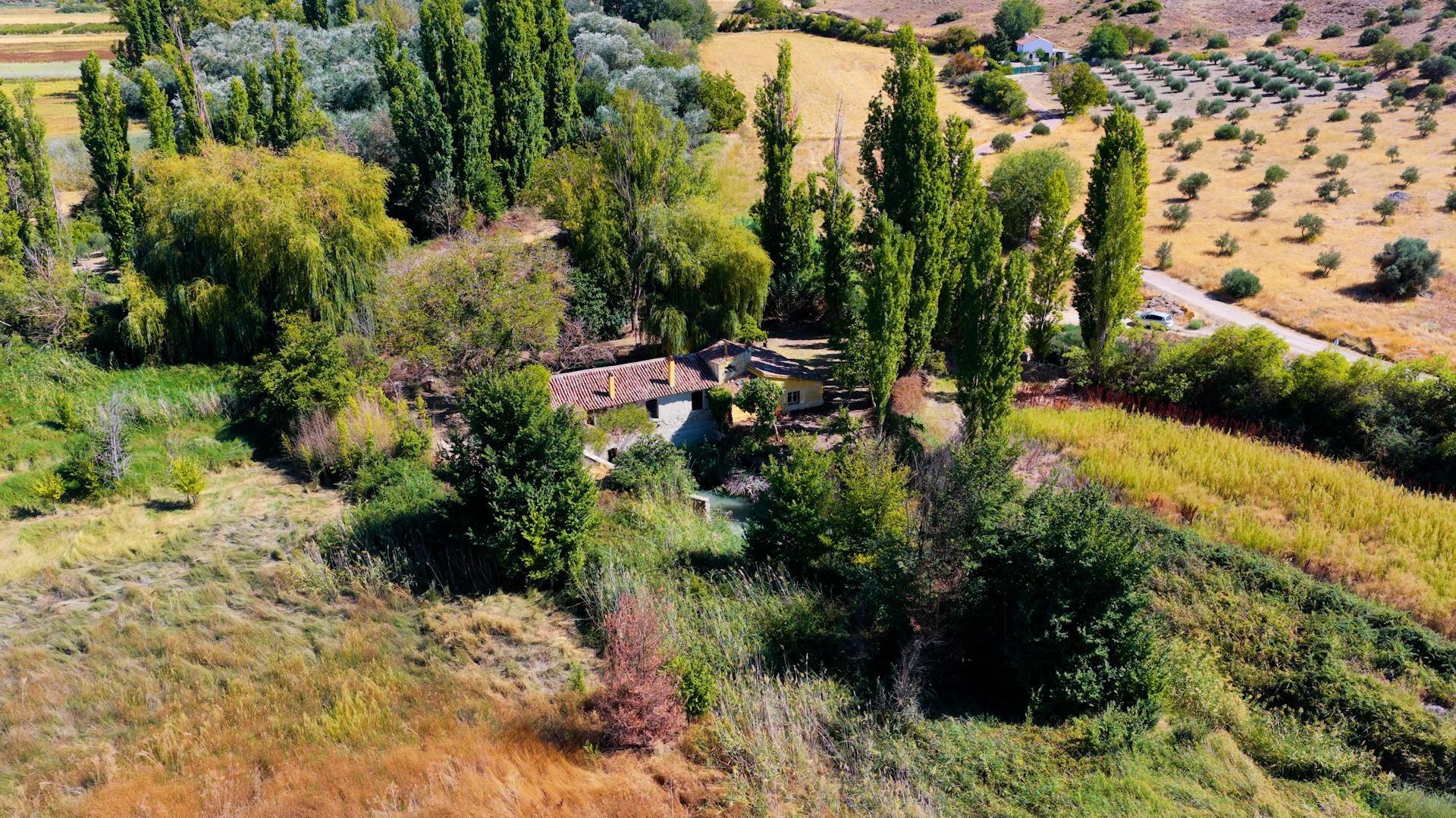 Pisos-Venta-CarabaÃ±a-2423816-Foto-27