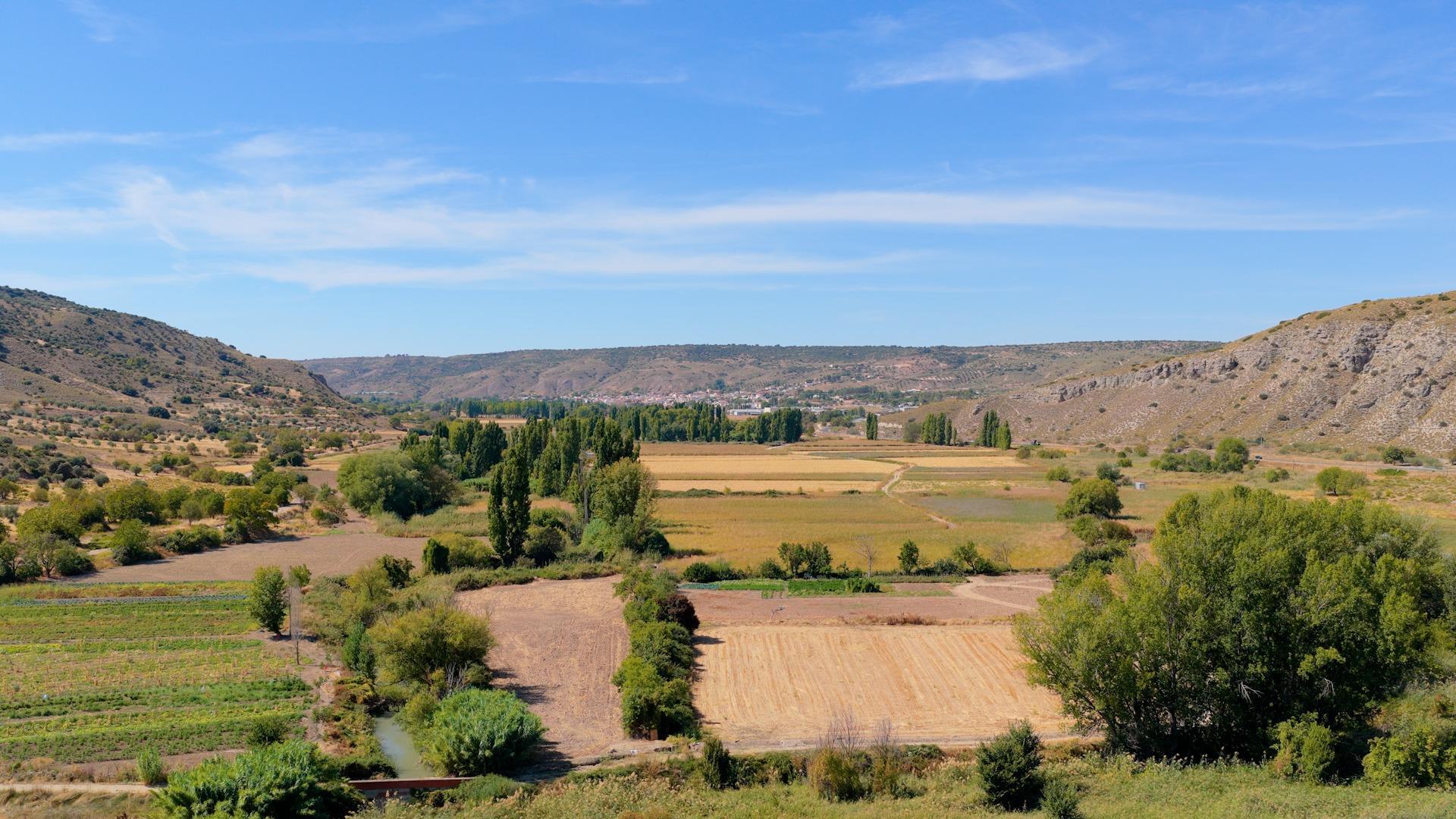 Pisos-Venta-CarabaÃ±a-2423816-Foto-29