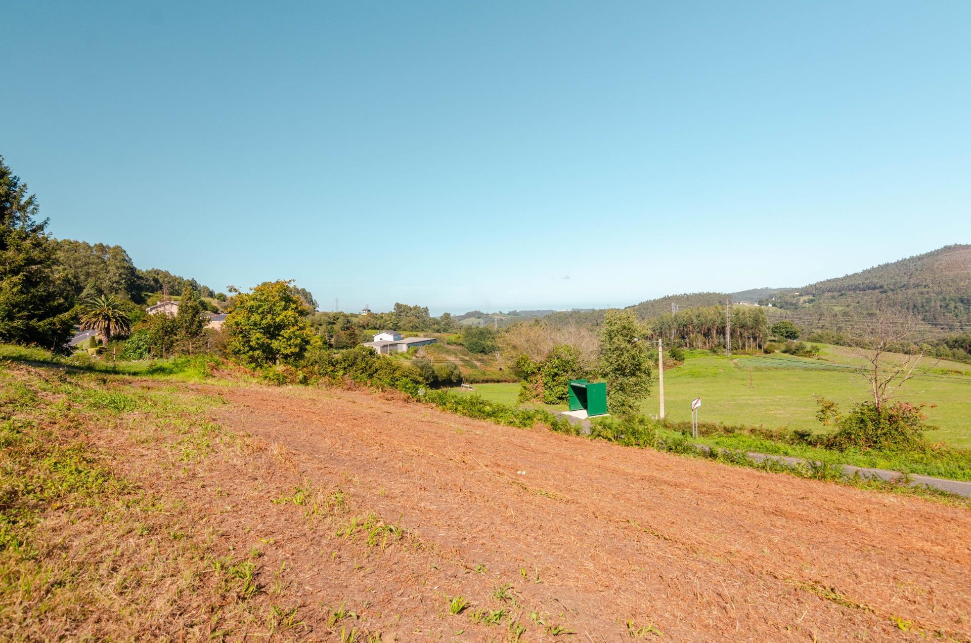 Fincas y solares-Venta-CoaÃ±a-2423819-Foto-6