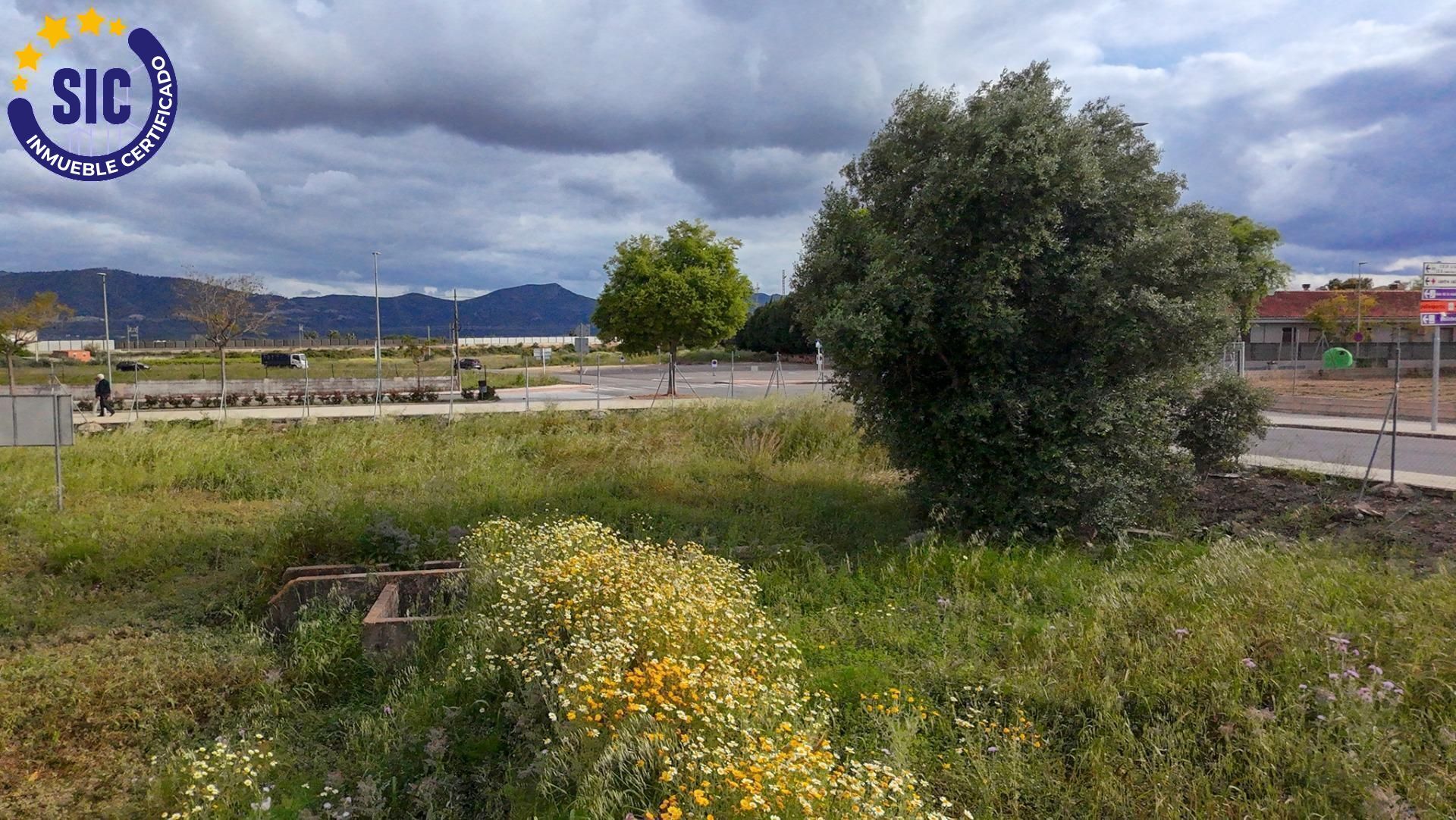 Fincas y solares-Venta-L'AlcÃºdia de Crespins-1721759-Foto-9