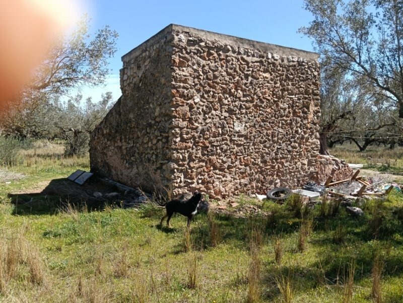 Pisos-Venta-Roquetes-2423846-Foto-7