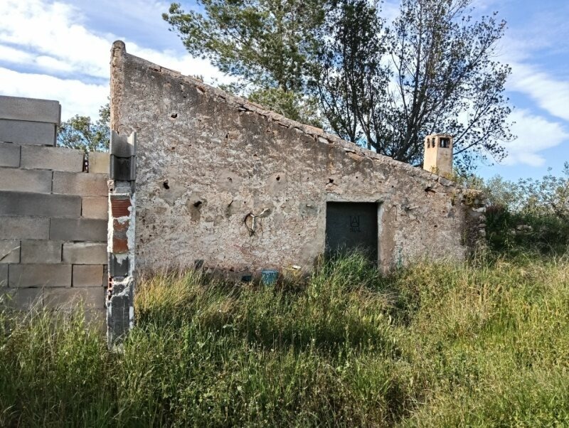Pisos-Venta-Aldover-2423852-Foto-2