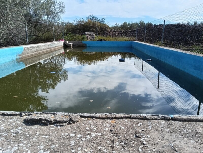 Pisos-Venta-Aldover-2423852-Foto-6