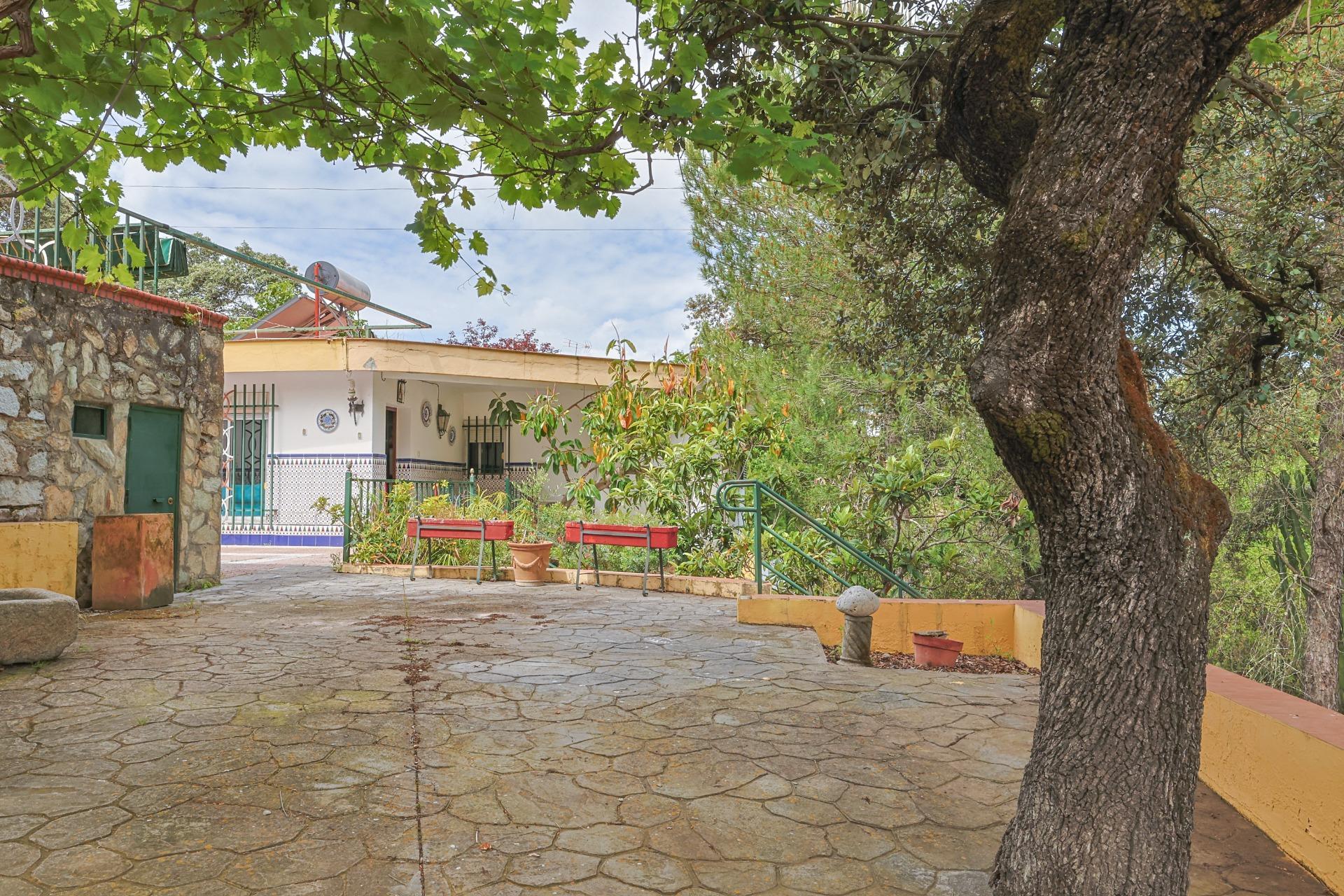 Casas o chalets-Venta-Guillena-1727057-Foto-12