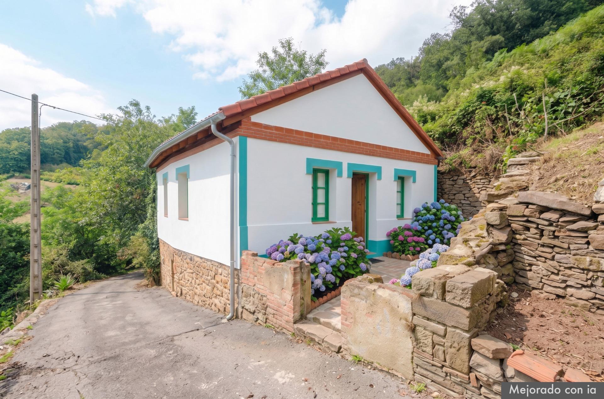 Casas o chalets-Venta-Mieres-2415338