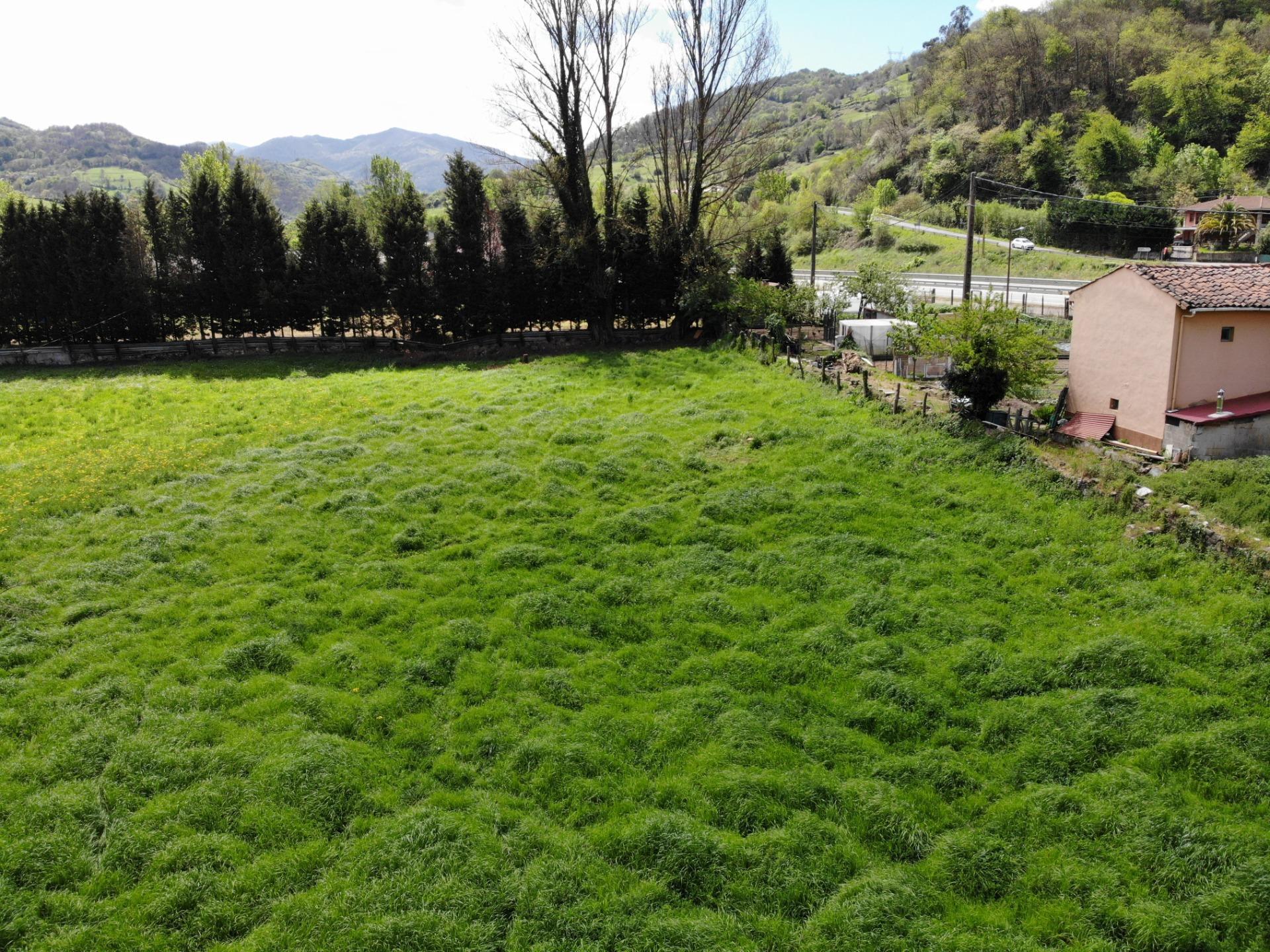 Fincas y solares-Venta-Villena-1389322