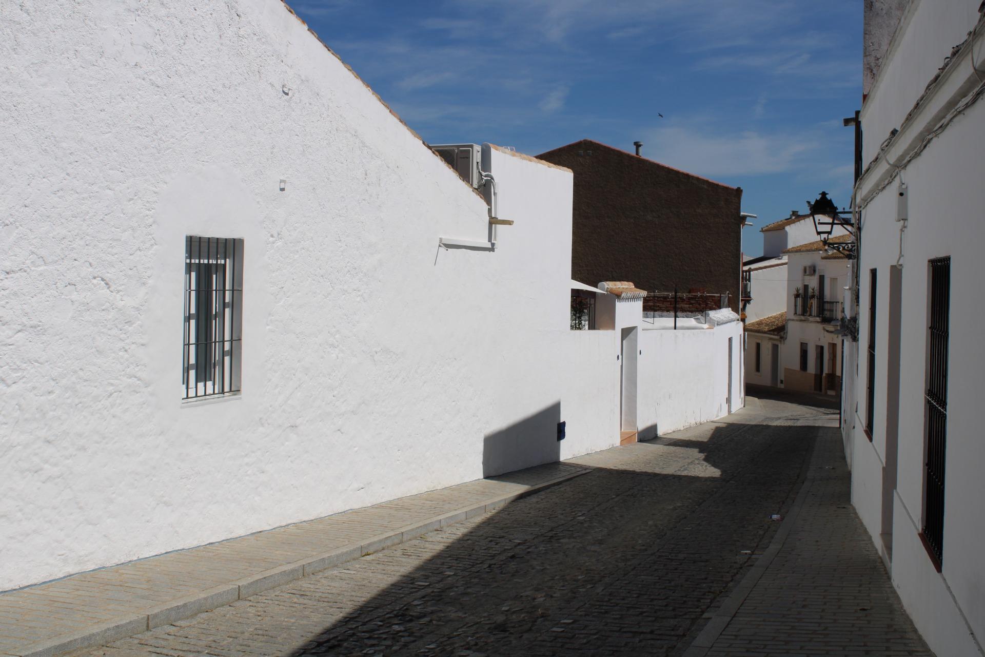 Casas o chalets-Venta-Castilblanco de los Arroyos-2207725-Foto-3