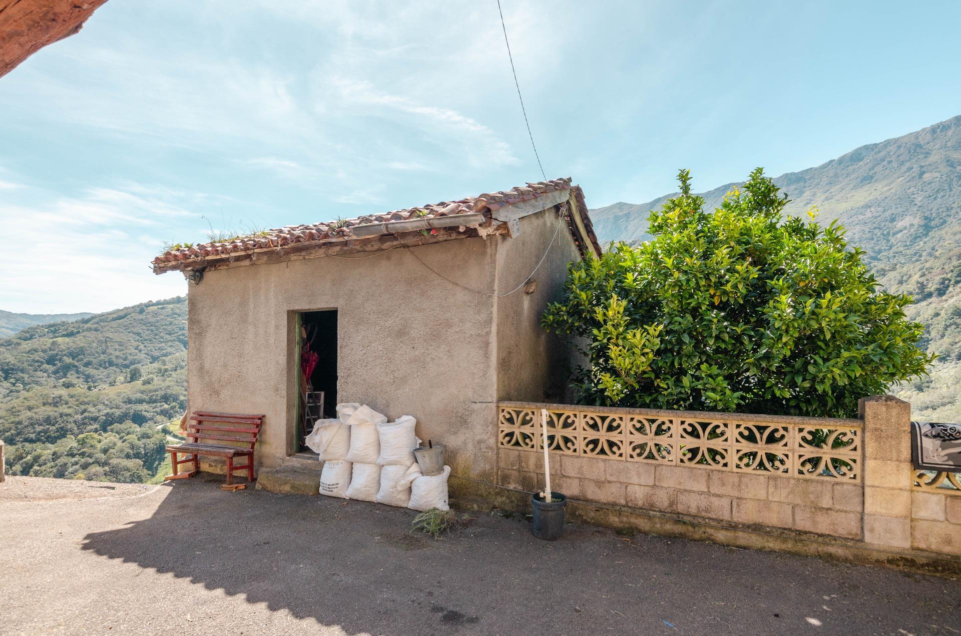 Casas o chalets-Venta-Riosa-2424178-Foto-40