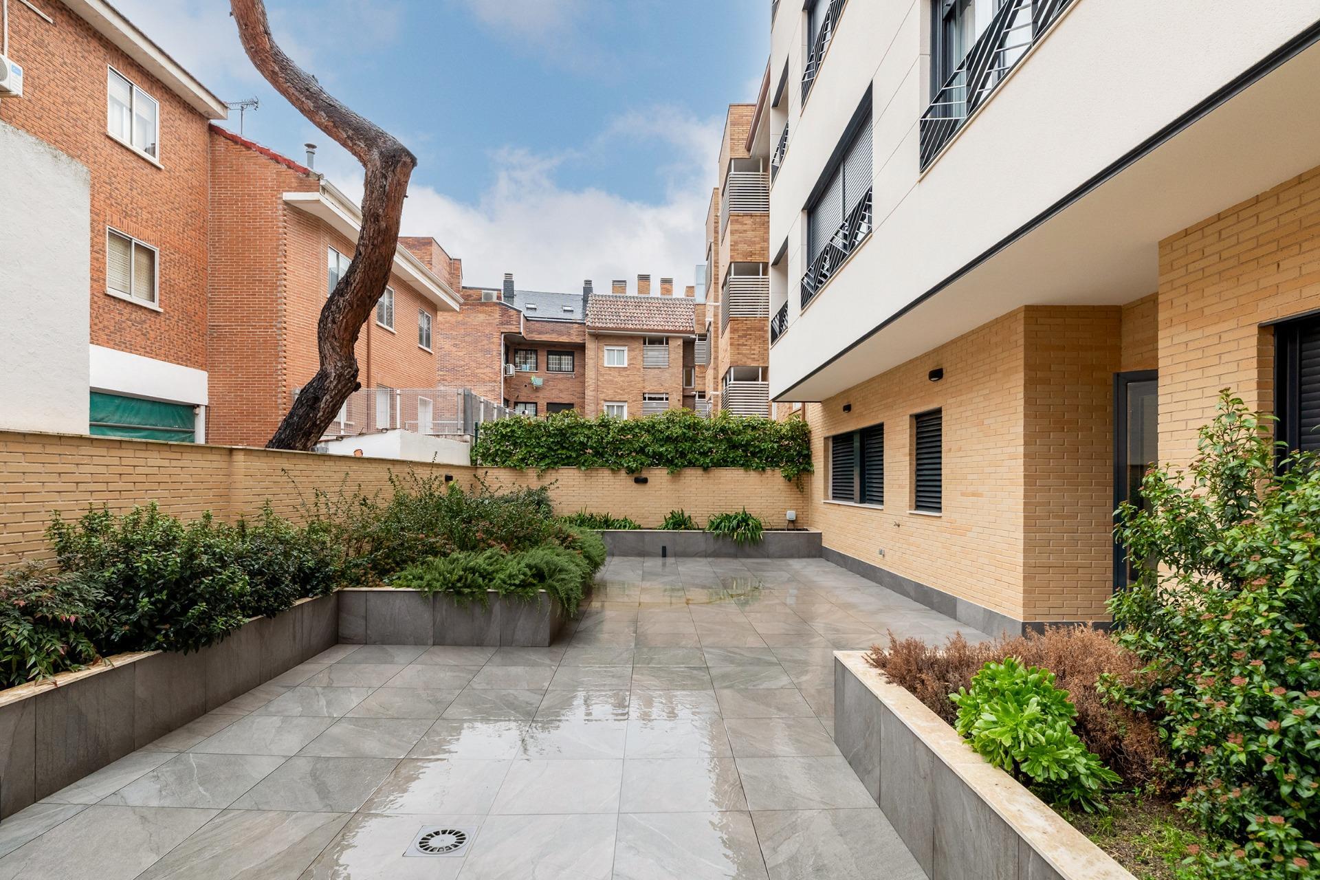 Pisos-Venta-Las Rozas de Madrid-2424861-Foto-45