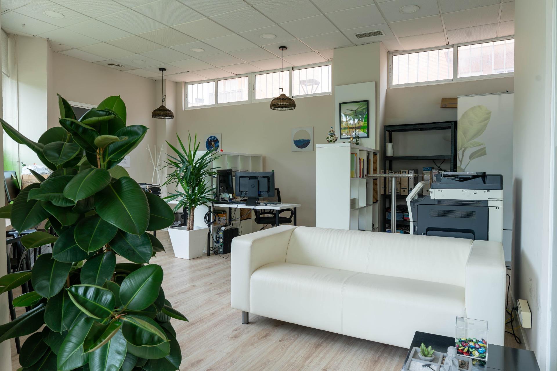 Negocios-Venta-Tomares-2424867-Foto-4