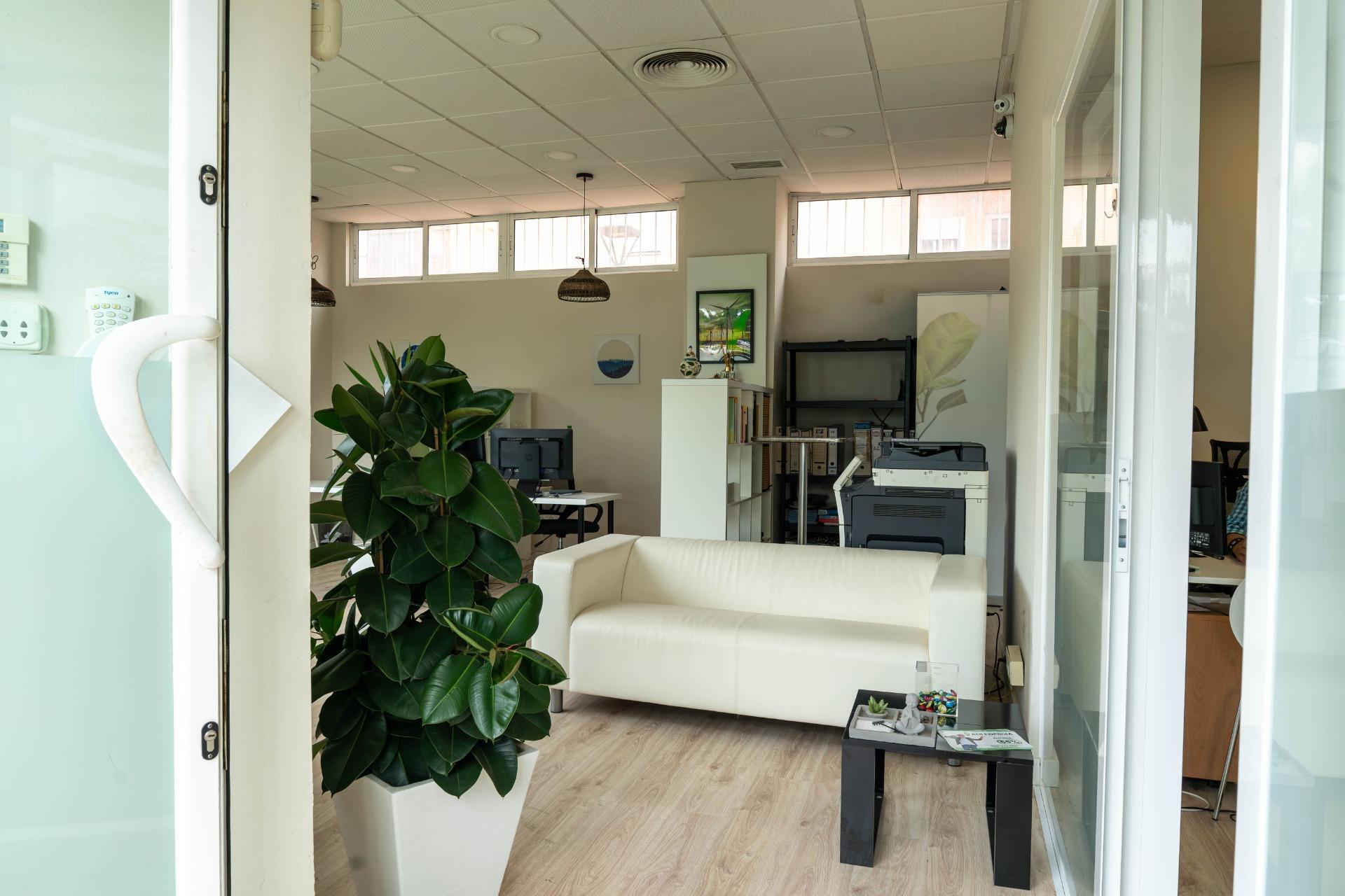 Negocios-Venta-Tomares-2424867-Foto-3