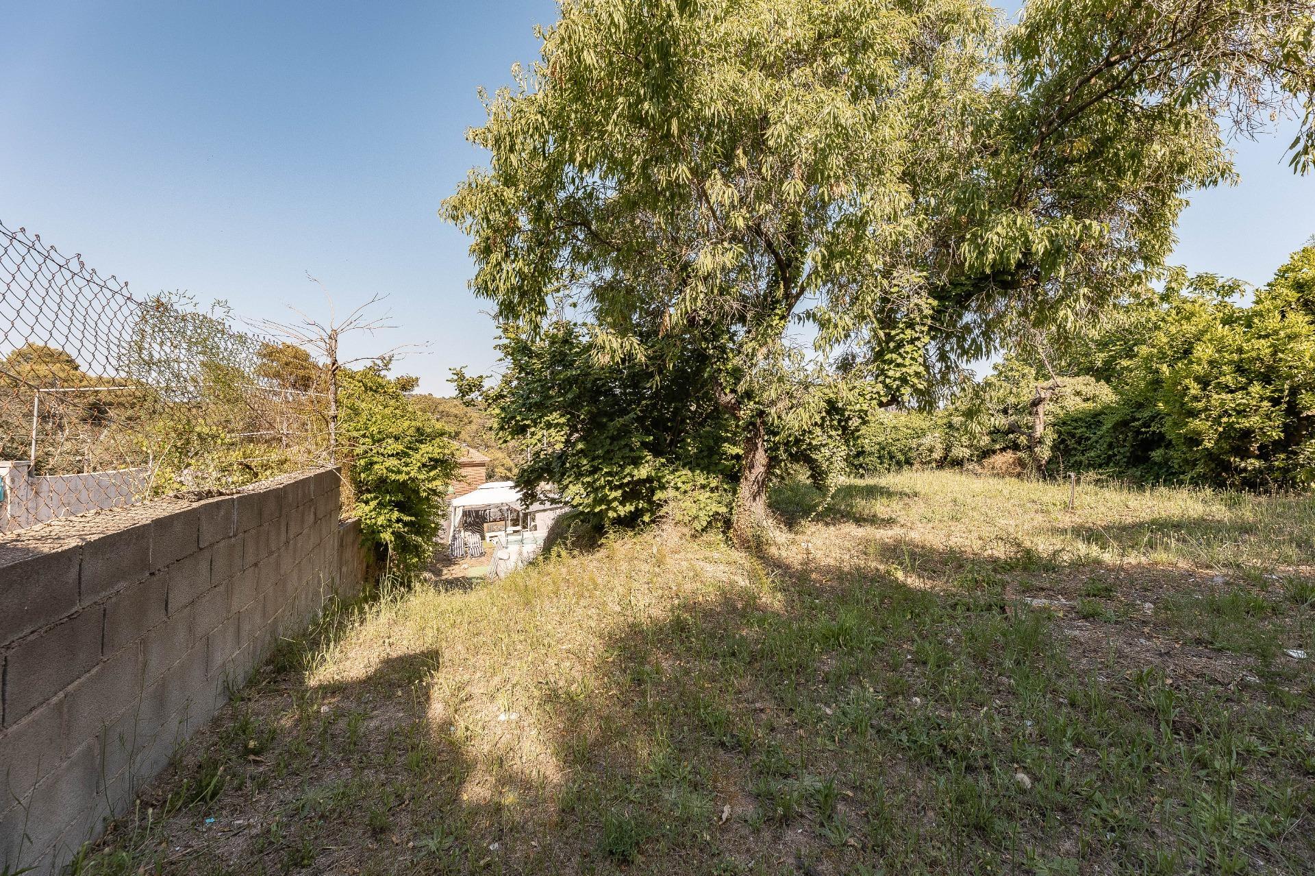 Fincas y solares-Venta-LliÃ§Ã  d'Amunt-2207125-Foto-27