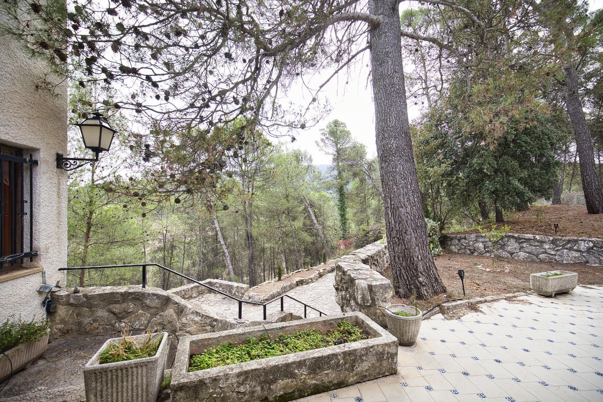 Casas o chalets-Venta-Alcoy-Alcoi-2424870-Foto-6