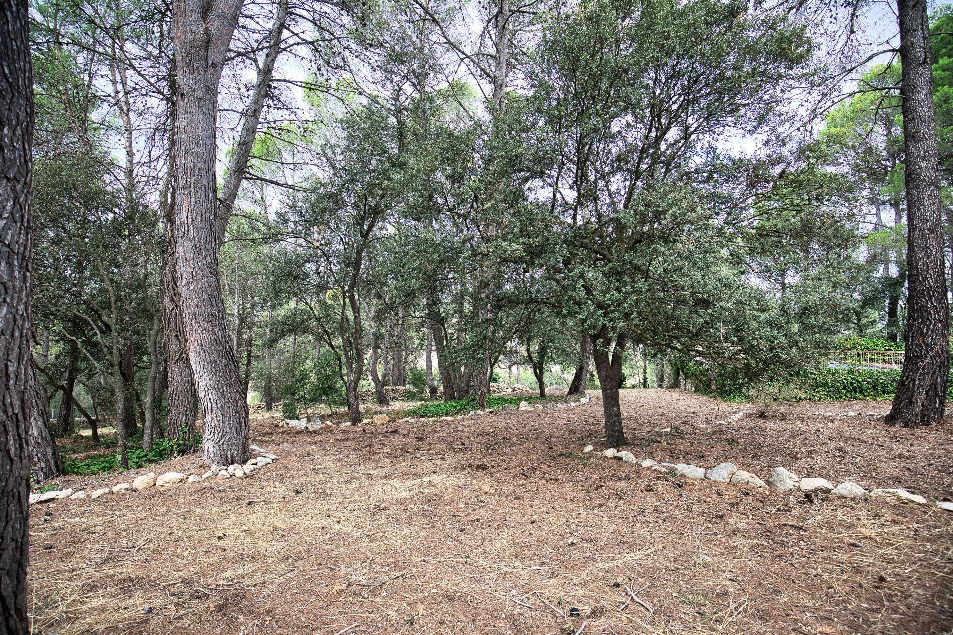 Casas o chalets-Venta-Alcoy-Alcoi-2424870-Foto-13