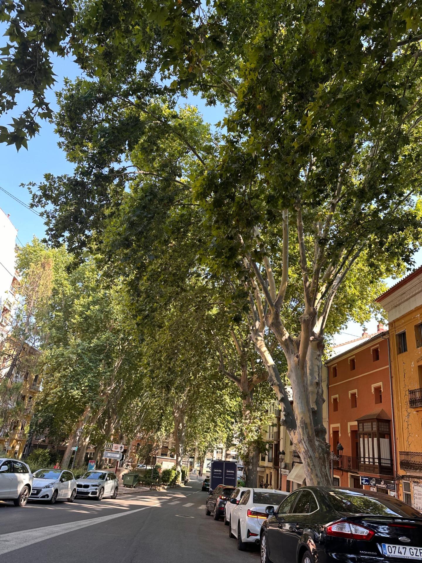 Edificios-Venta-XÃ tiva-2424885-Foto-24