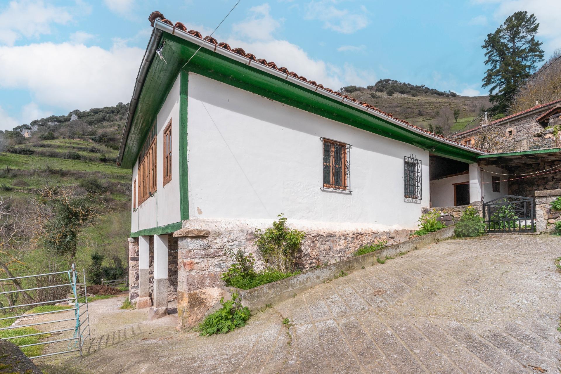Casas o chalets-Venta-Somiedo-2177650-Foto-3