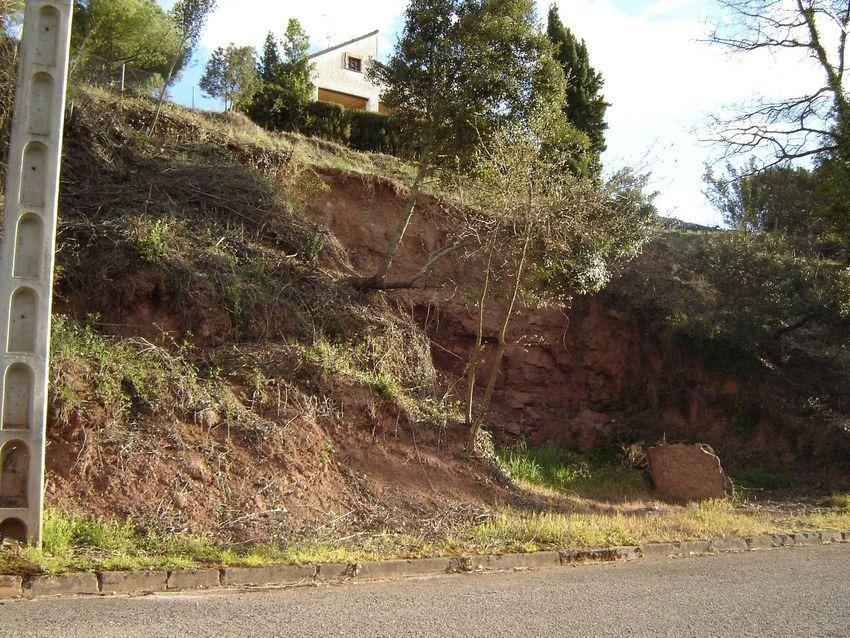 Fincas y solares-Venta-Talamanca-2425461-Foto-2