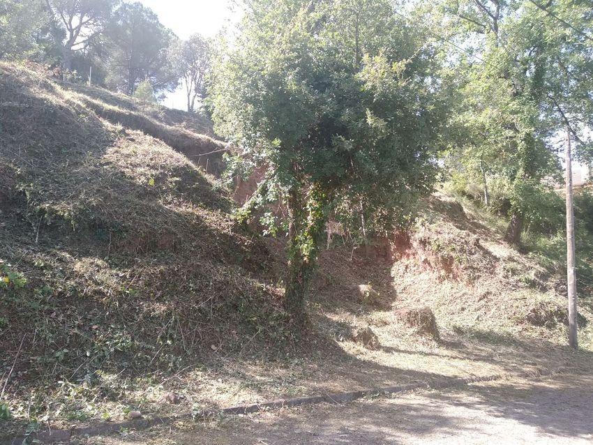 Fincas y solares-Venta-2425461