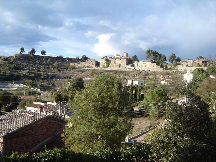 Fincas y solares-Venta-Talamanca-2425461-Foto-5