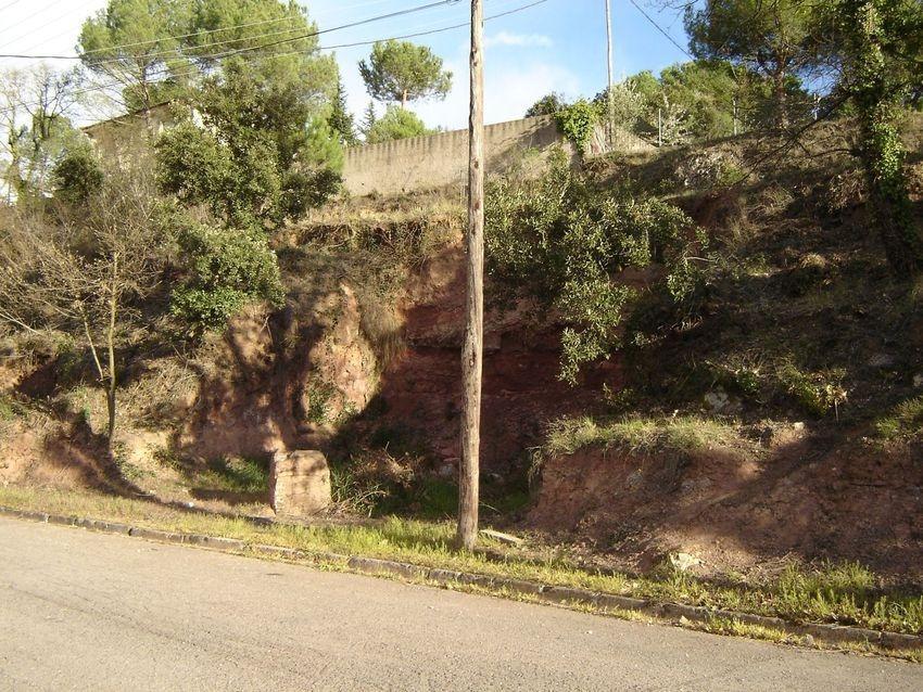 Fincas y solares-Venta-Talamanca-2425461-Foto-3