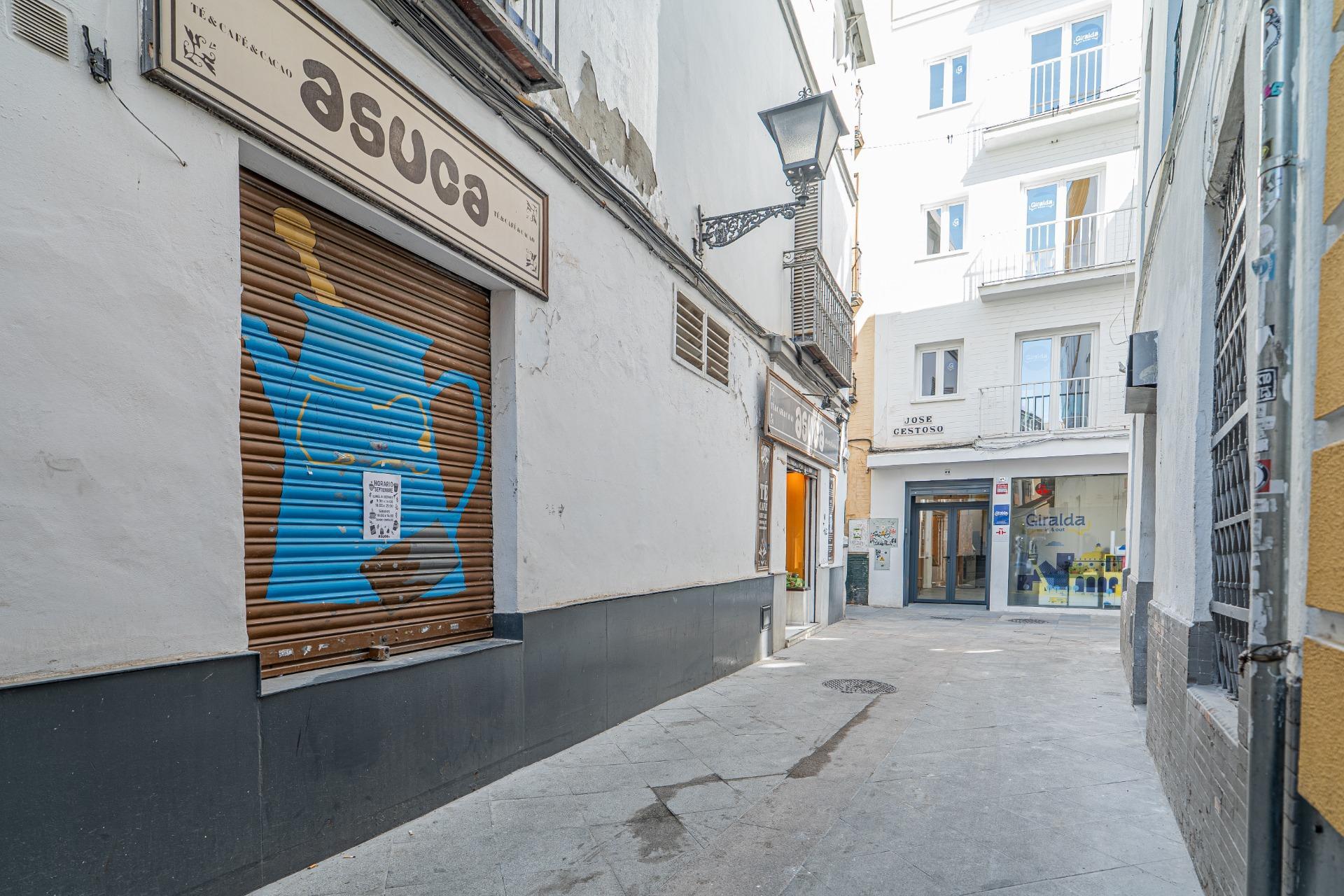 Negocios-Alquiler-Burguillos-2425455-Foto-2