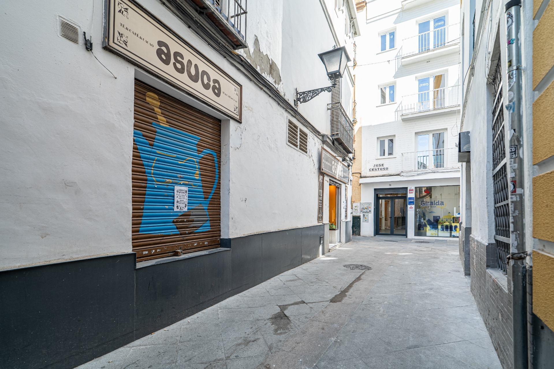 Negocios-Alquiler-Burguillos-2425455-Foto-3