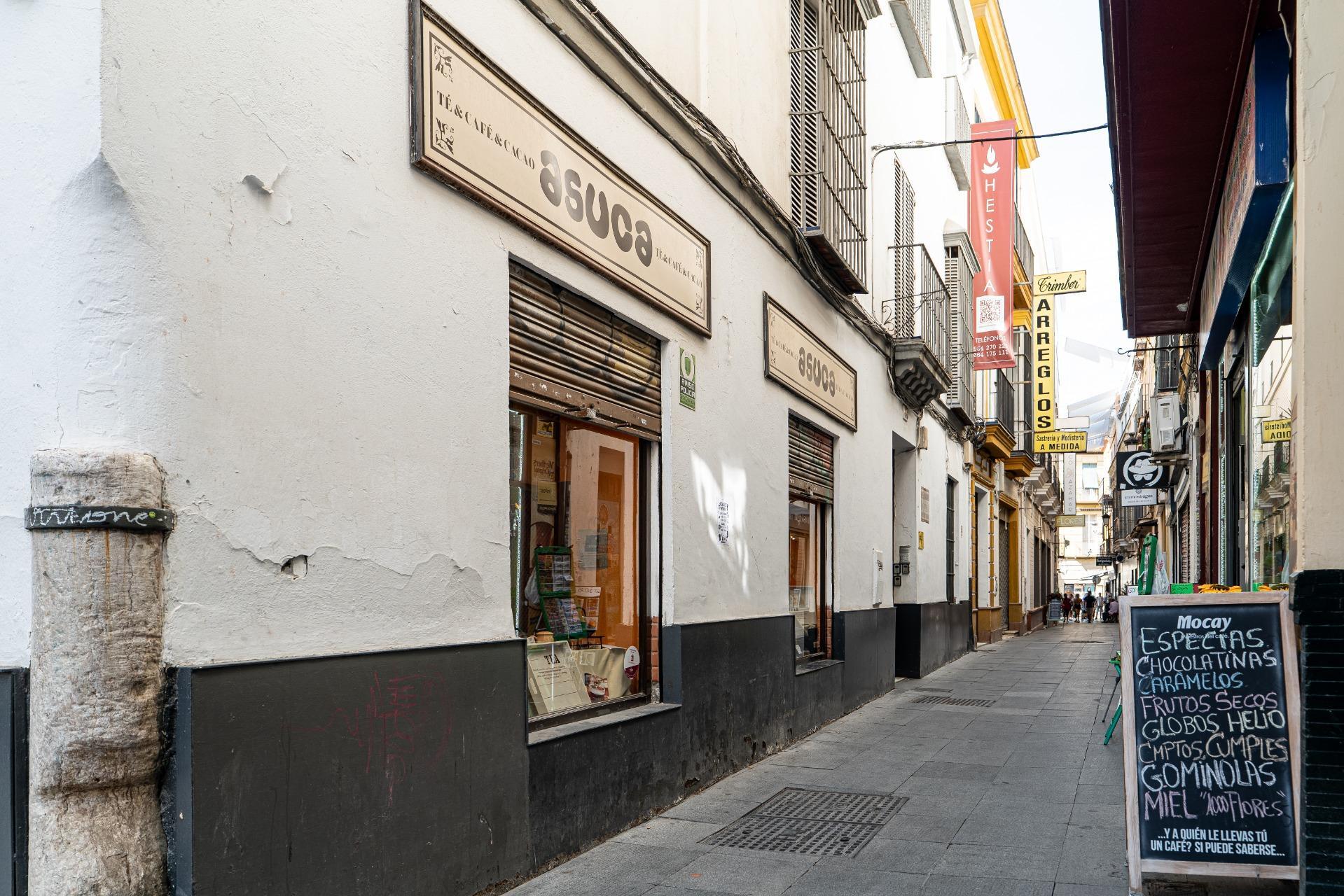 Negocios-Alquiler-Burguillos-2425455-Foto-7