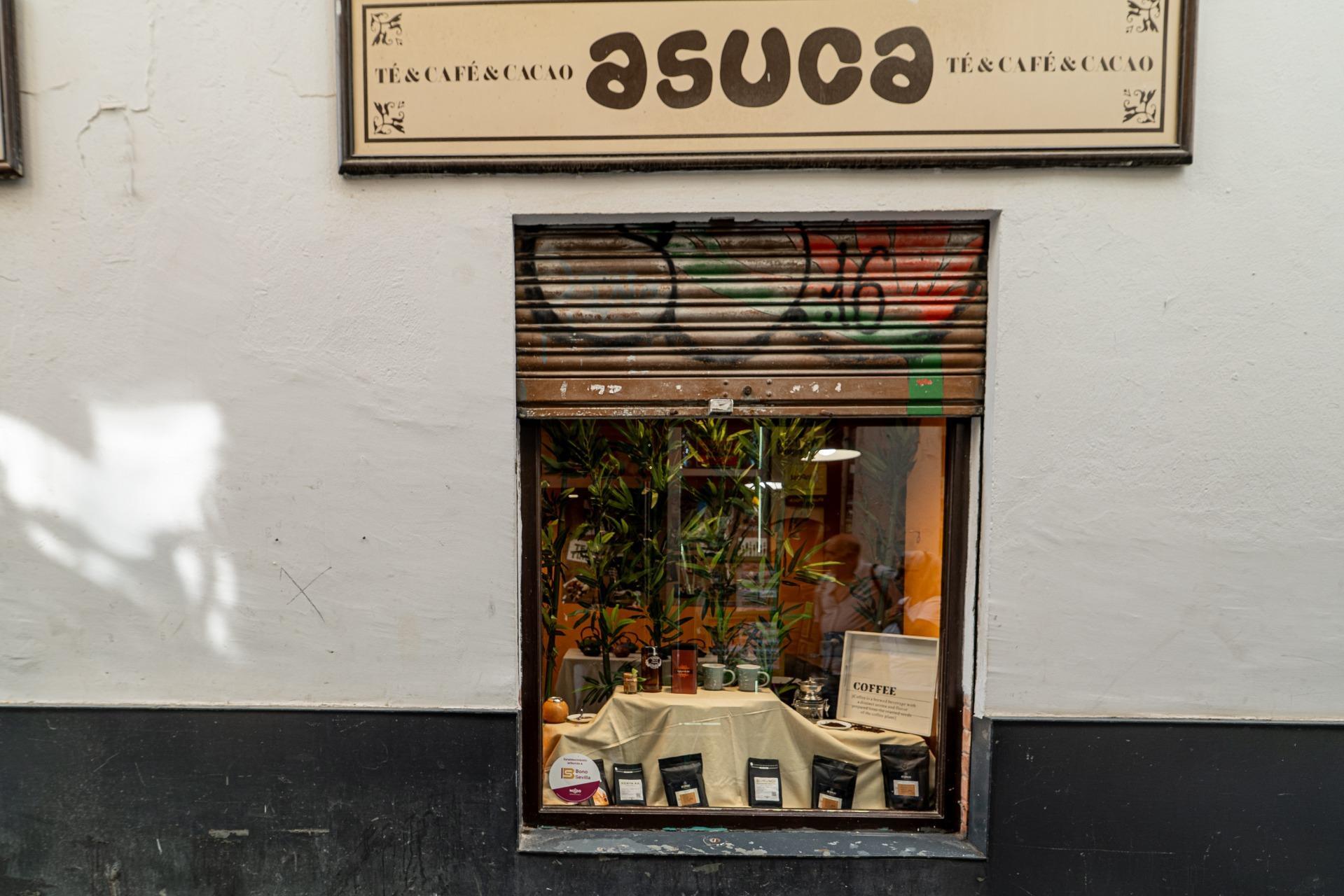 Negocios-Alquiler-Burguillos-2425455-Foto-10