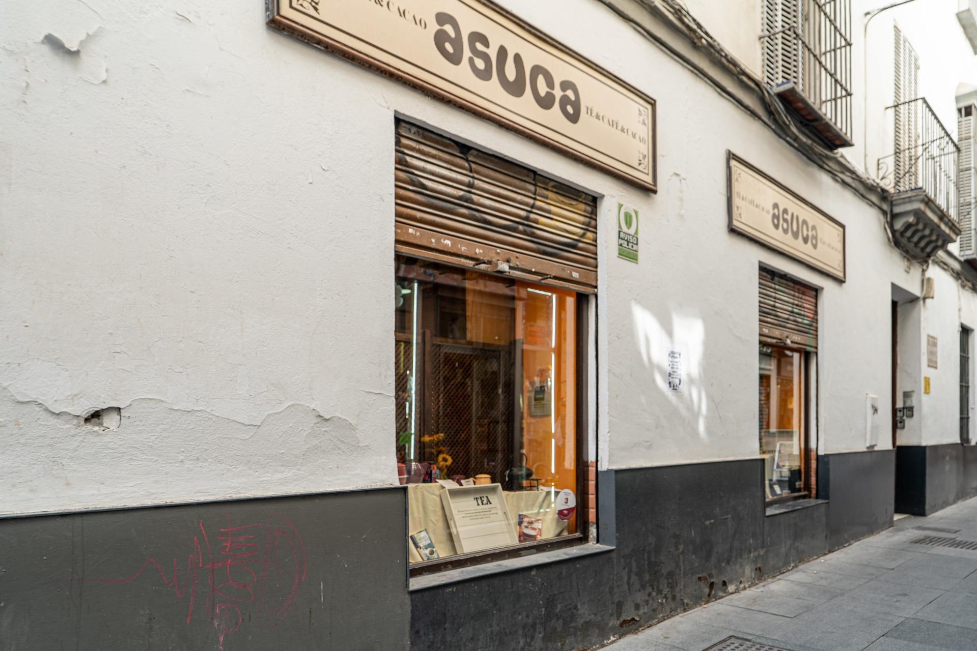 Negocios-Alquiler-Burguillos-2425455-Foto-8
