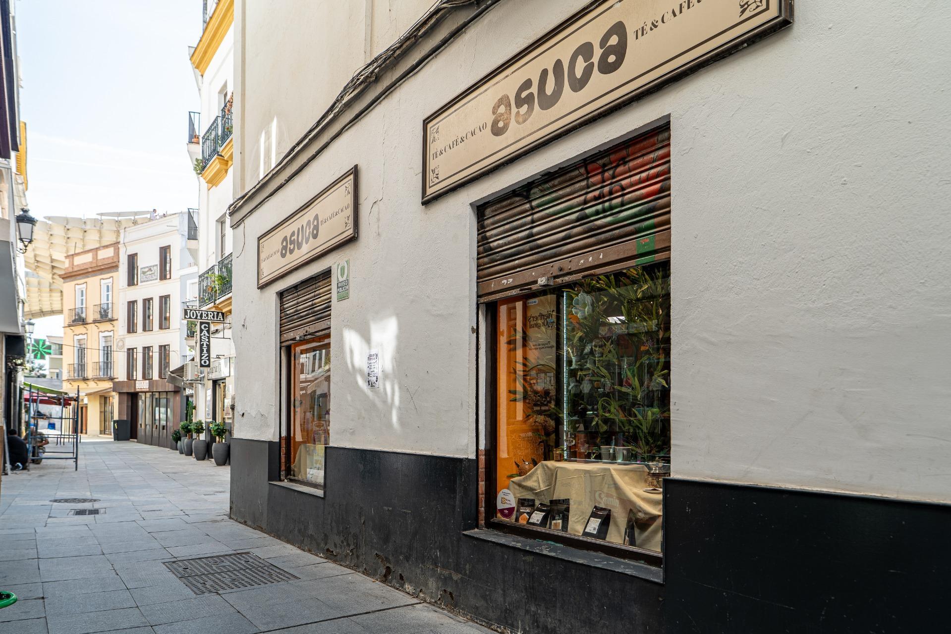 Negocios-Alquiler-Burguillos-2425455-Foto-9