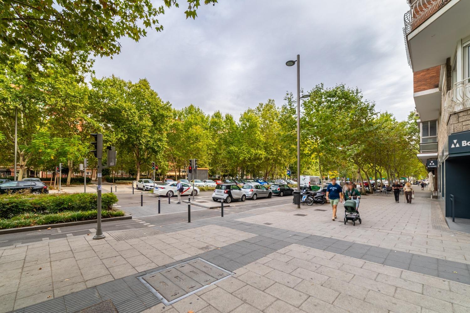 Negocios-Alquiler-Madrid-2425834-Foto-19