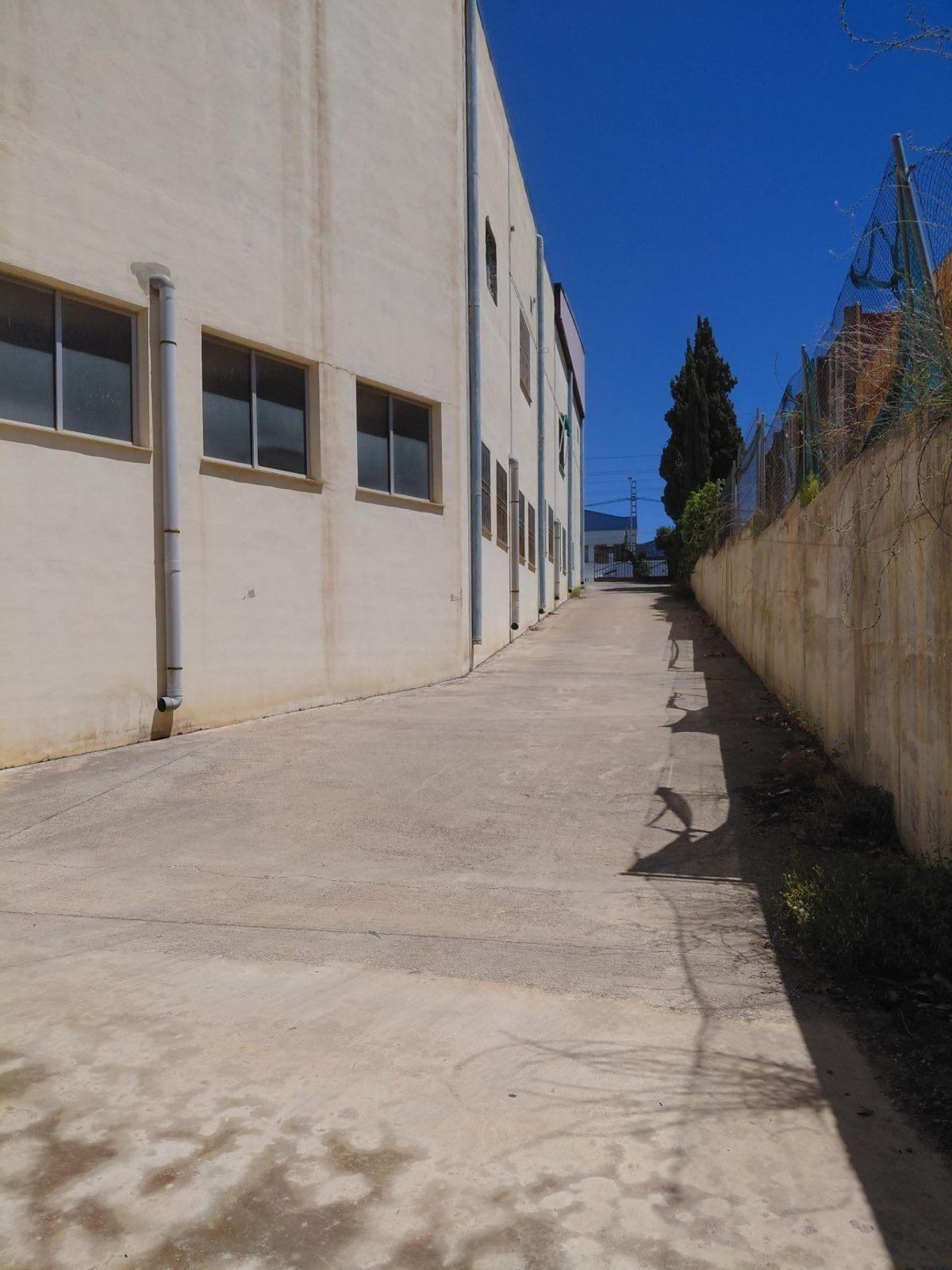 Naves-Alquiler-Paterna-2425849-Foto-13