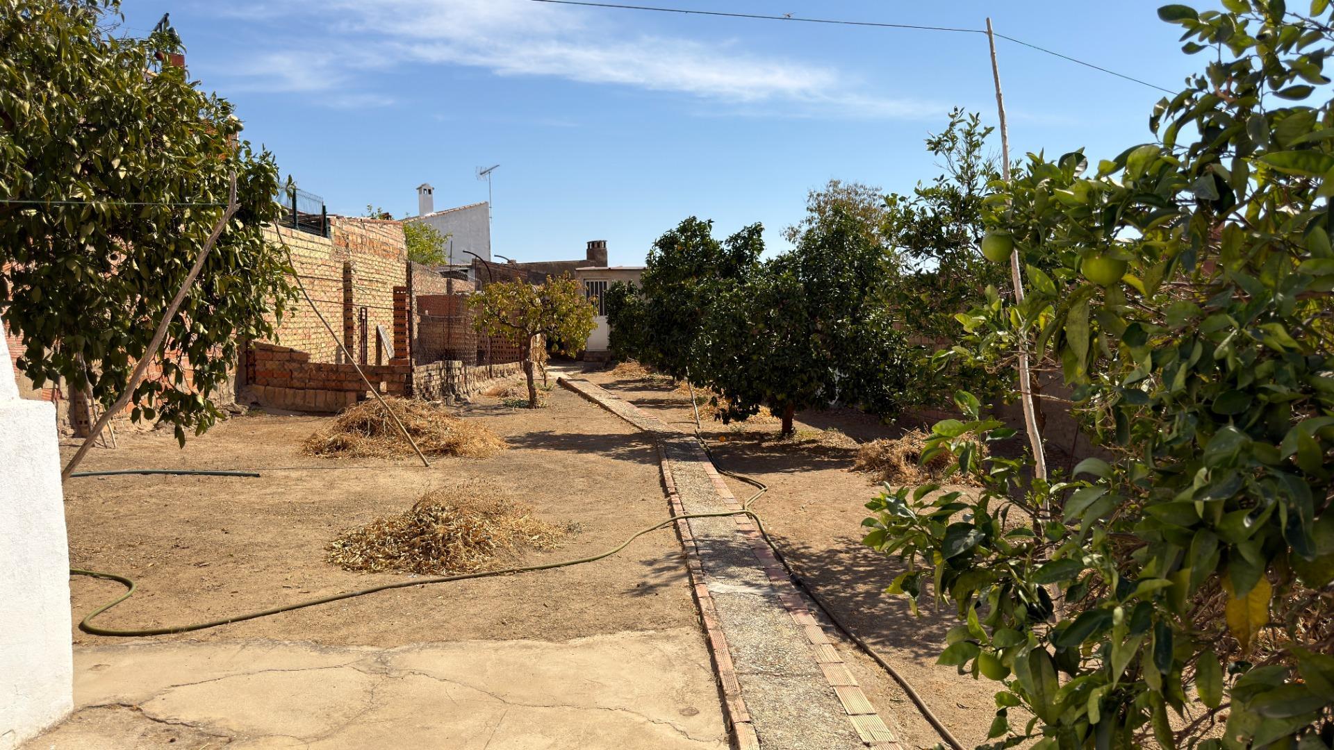 Casas o chalets-Venta-Beas-2425867-Foto-31