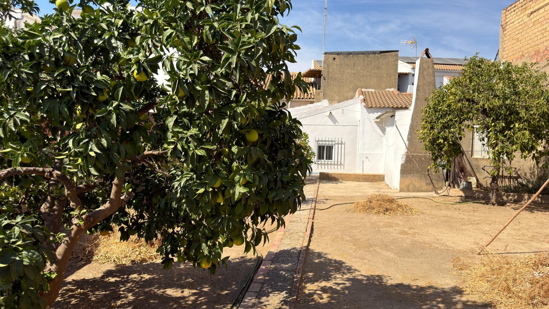 Casas o chalets-Venta-Beas-2425867-Foto-32
