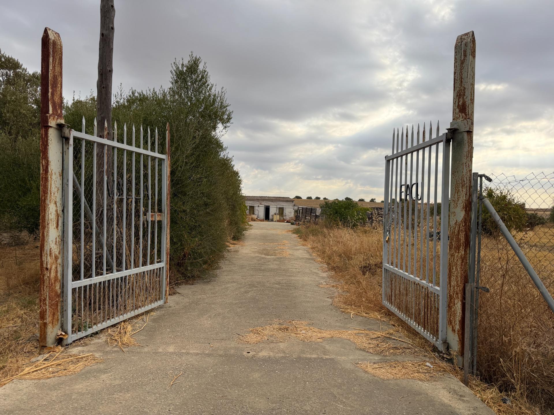 Pisos-Venta-Trigueros-2426193