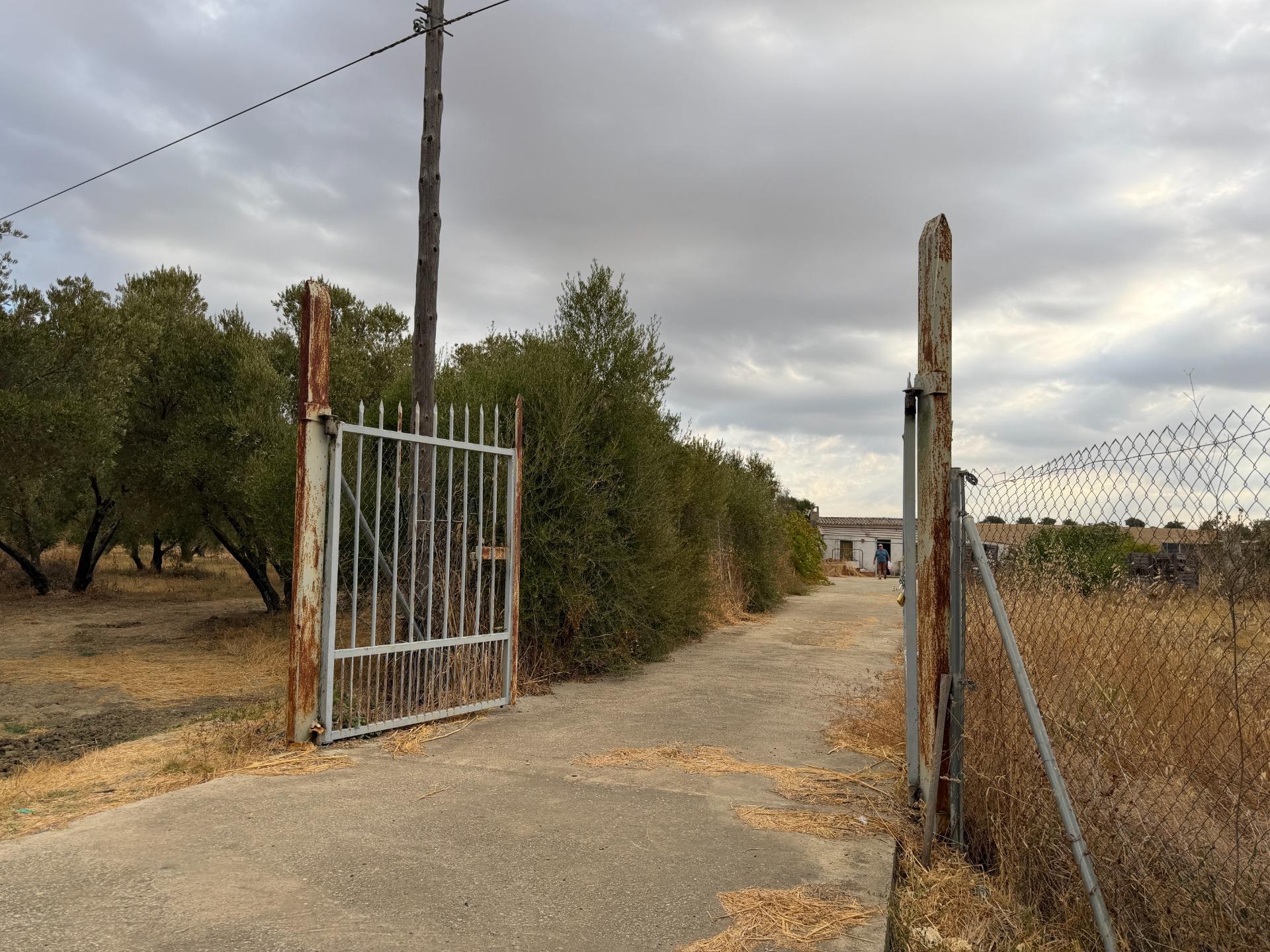 Pisos-Venta-Trigueros-2426193-Foto-2