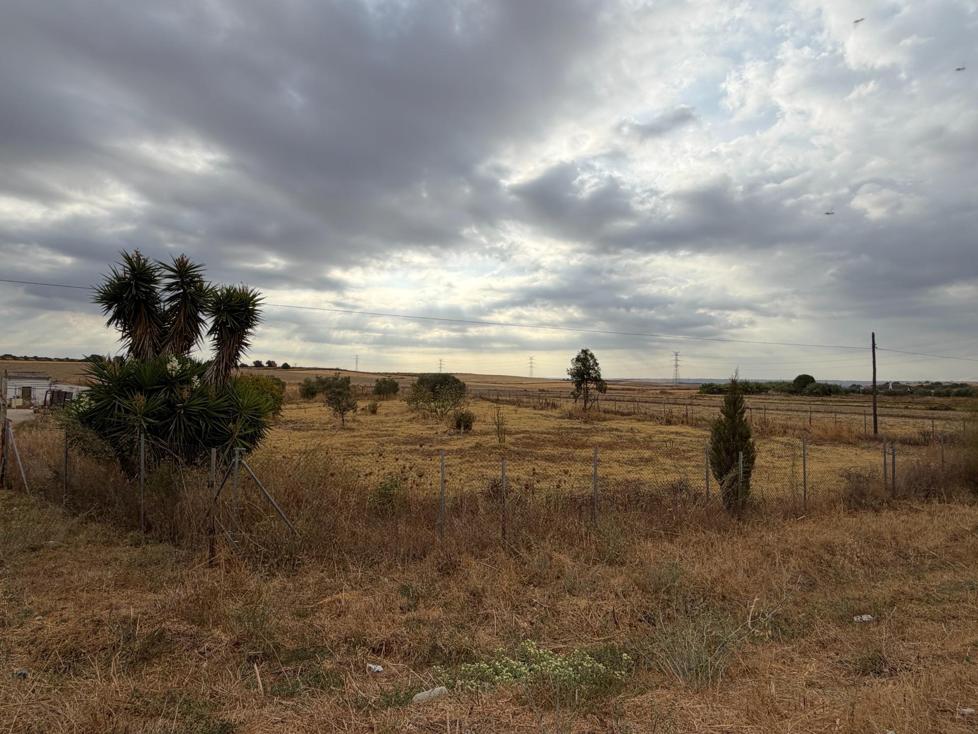 Pisos-Venta-Trigueros-2426193-Foto-7