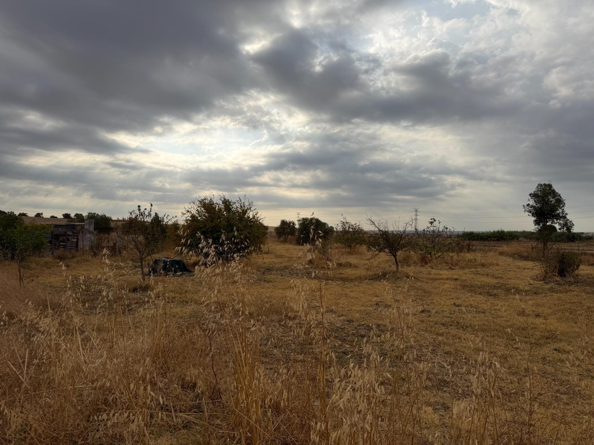Pisos-Venta-Trigueros-2426193-Foto-9