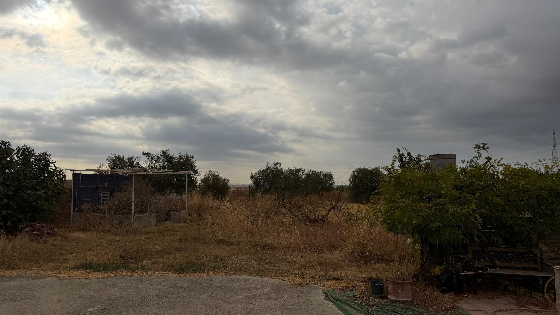 Pisos-Venta-Trigueros-2426193-Foto-21