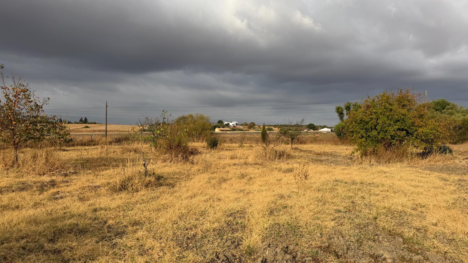 Pisos-Venta-Trigueros-2426193-Foto-41