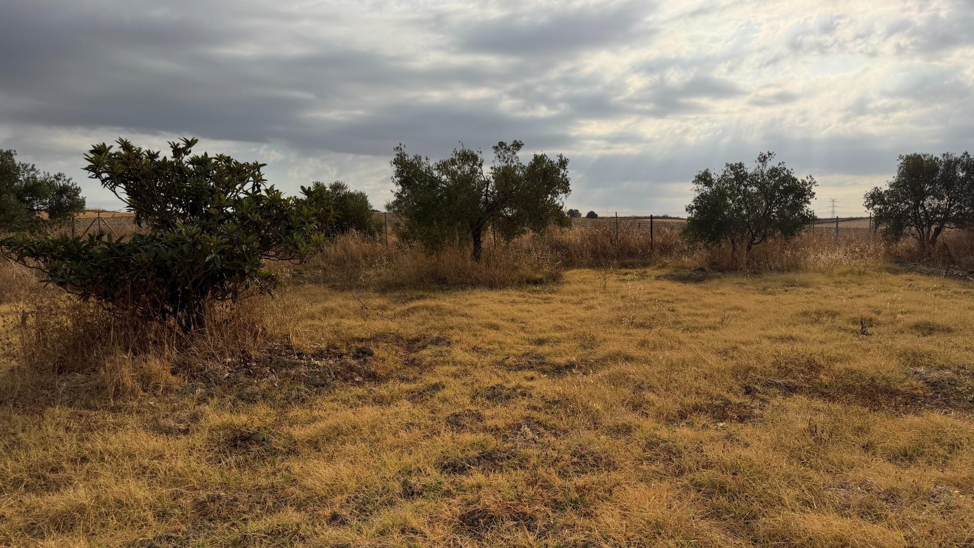 Pisos-Venta-Trigueros-2426193-Foto-43