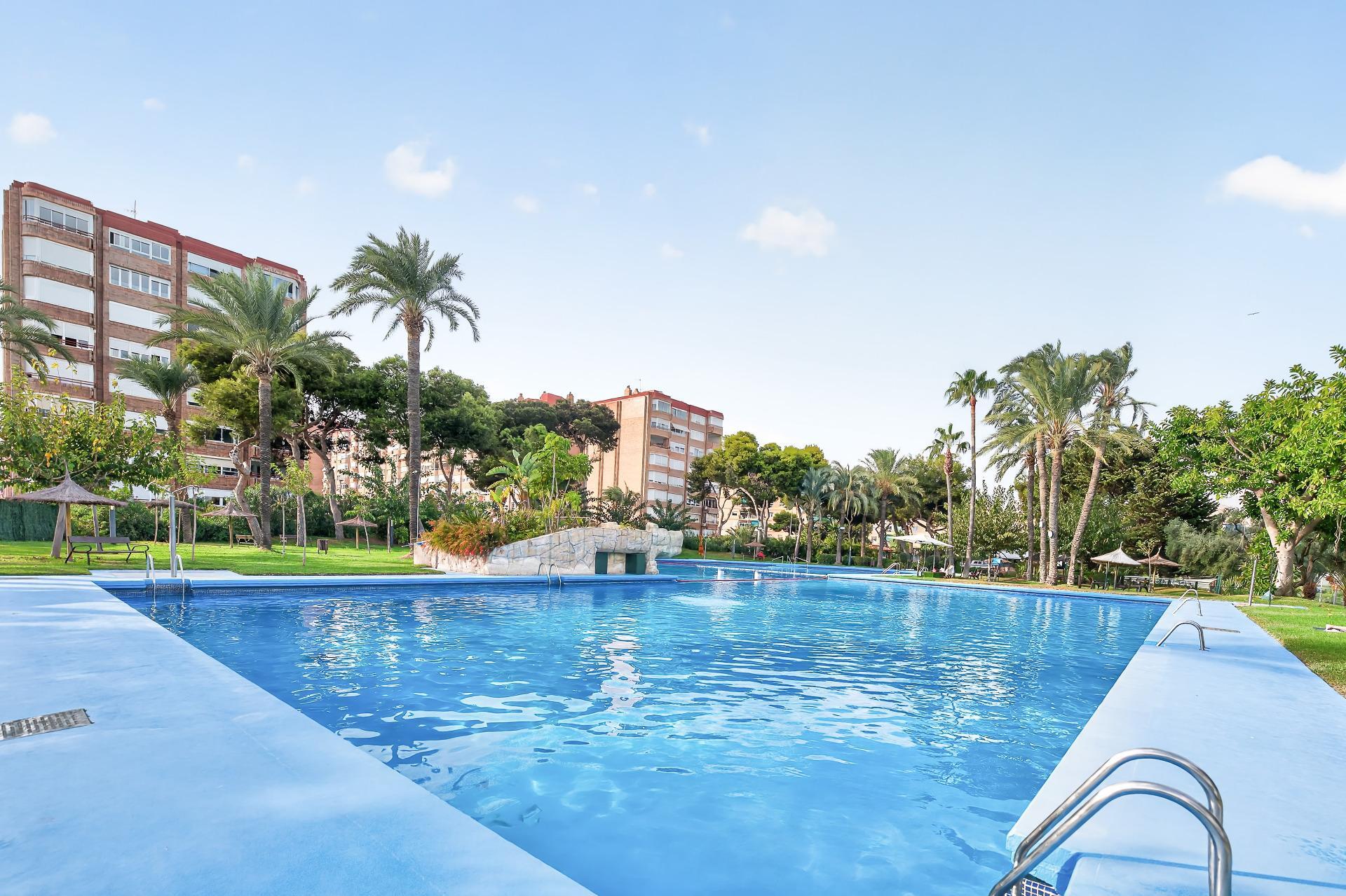 Pisos-Venta-Alicante-2426223-Foto-2