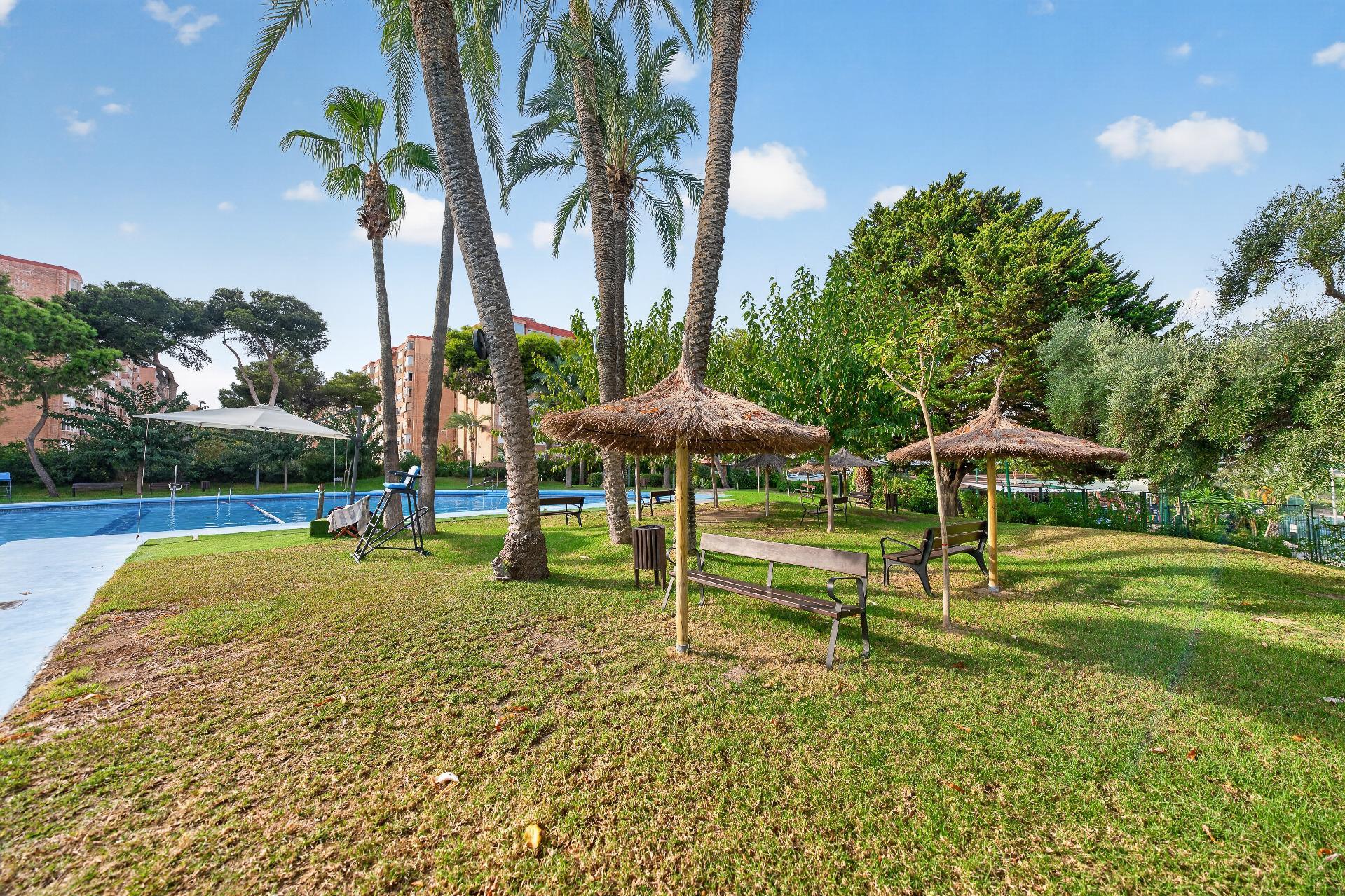 Pisos-Venta-Alicante-2426223-Foto-3