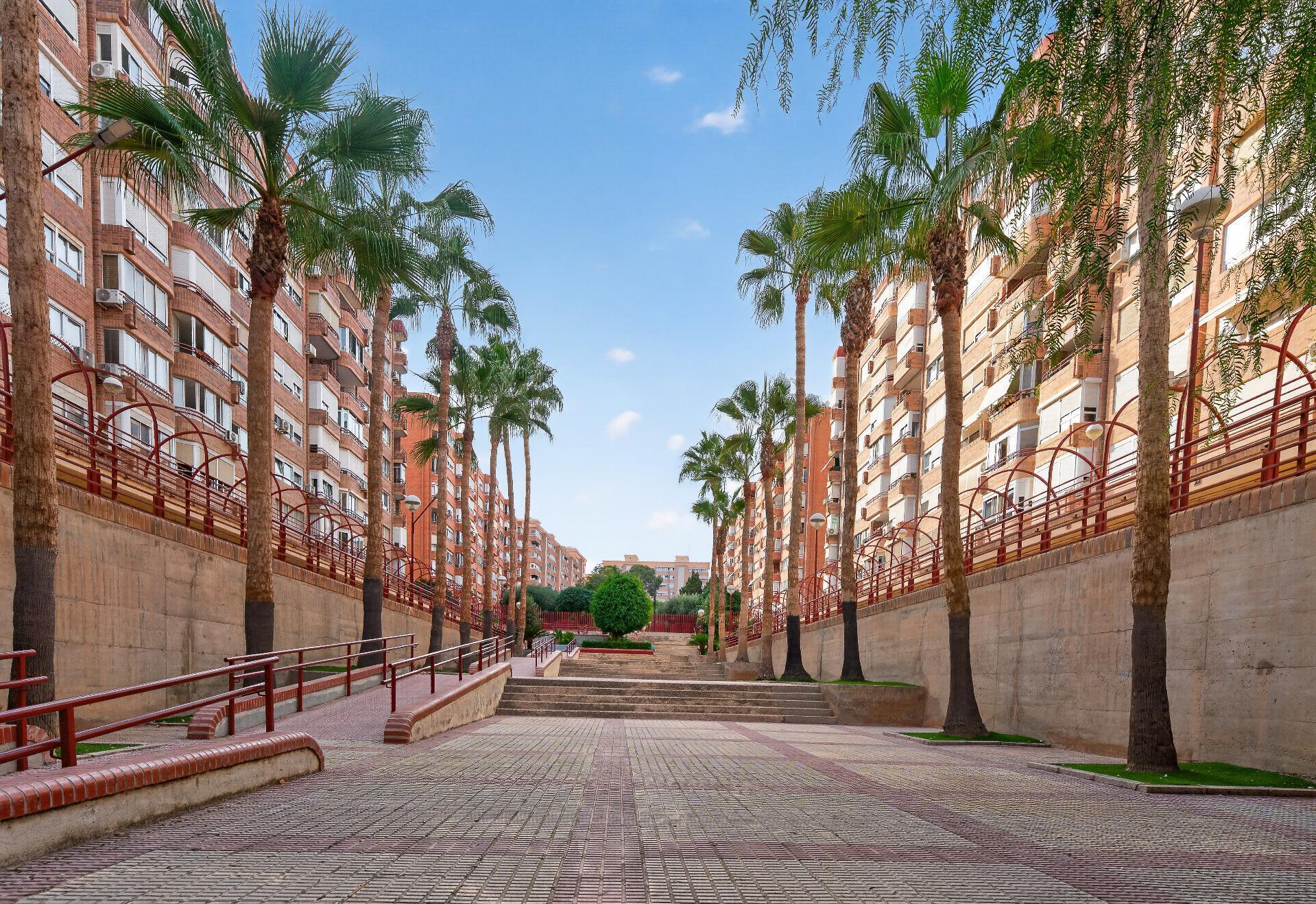 Pisos-Venta-Alicante-2426223-Foto-31