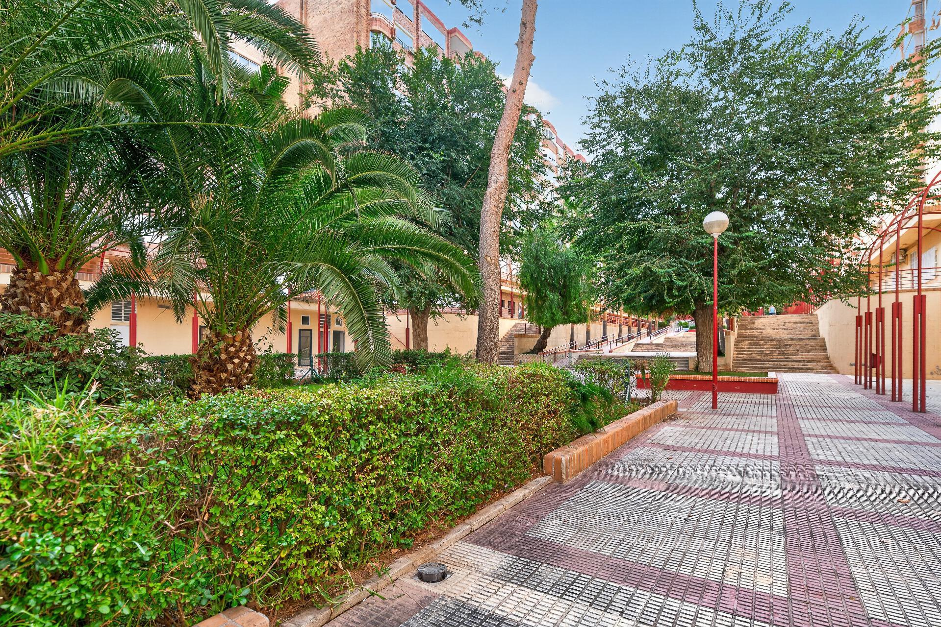 Pisos-Venta-Alicante-2426223-Foto-32